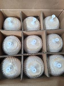 Quả dừa xiêm Thiện Nghiệp