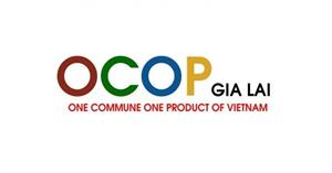Logo Sàn TMĐT Gia Lai