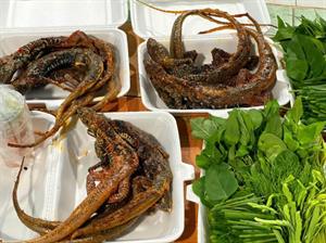 Dông cát sạch loại 2 (6-8 con⁄kg)