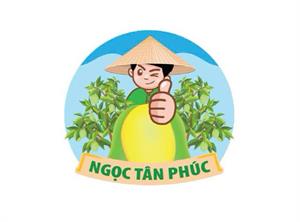 Xoài cát Hòa Lộc Ngọc Tân Phúc