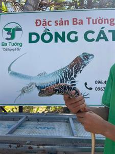 TRẢI NGHIỆM BA TƯỜNG FARM - SUỐI TIÊN - COMBO 2A2
