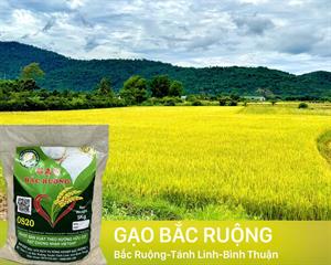 GẠO HỮU CƠ BẮC RUỘNG