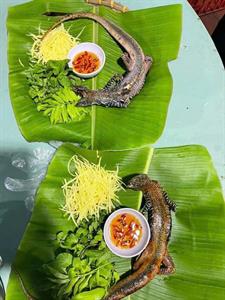 Dông cát sống loại 2 (6-8 con⁄kg)