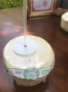 Quả dừa xiêm tươi