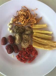 Combo dưỡng sinh - Bồ câu Ba Tường