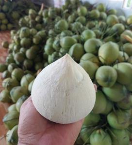 Quả dừa xiêm tươi
